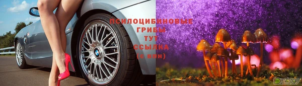 не бодяженный Арсеньев