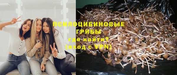 не бодяженный Арсеньев