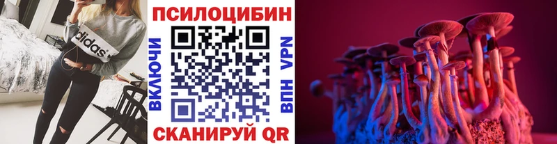 сколько стоит Исилькуль Галлюциногенные грибы Cubensis